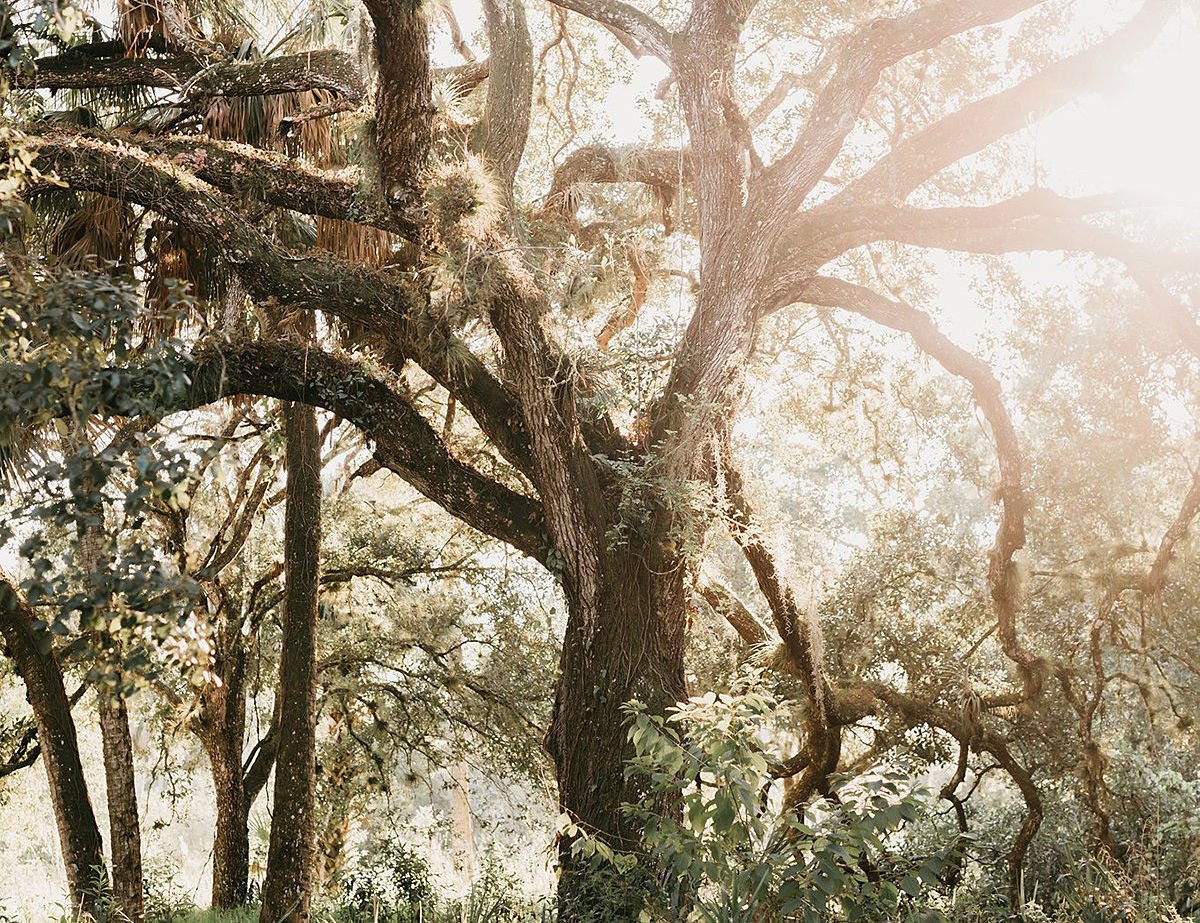 Your Guide to Top Hiking & Outdoor Adventures in Volusia County, FL